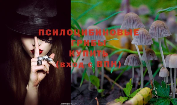 кокаин Алзамай