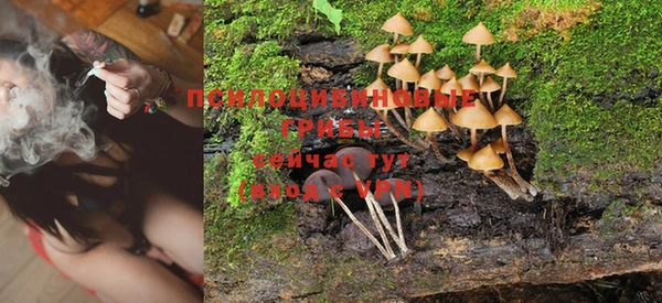 PSILOCYBIN Алексеевка