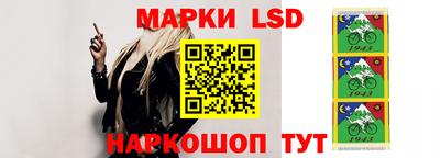 шишки Заводоуковск