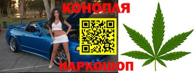 шишки Заводоуковск