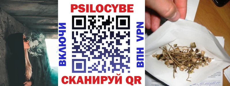 хочу наркоту  Миллерово  Галлюциногенные грибы мицелий 